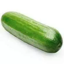 Cucumber